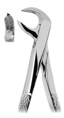 Extracting Forceps
