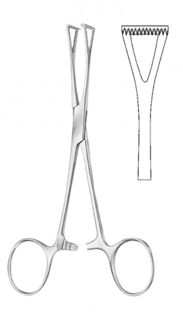 Tissue Forceps