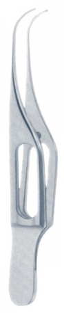 Gill