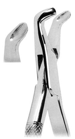 Extracting Forceps American Pattern