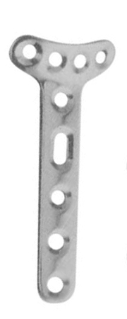 Orthopaedic Implants
