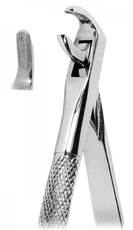 Extracting Forceps