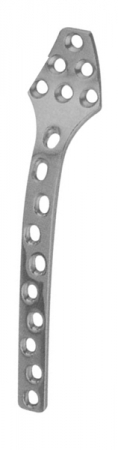 Orthopaedic Implants