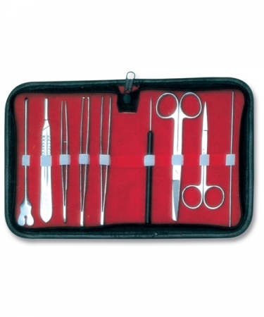 Beauty Care Products & Manicure Kits