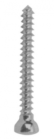 Orthopaedic Implants