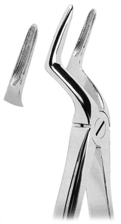 Extracting Forceps