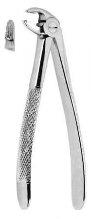Extracting Forceps