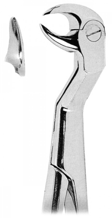 Extracting Forceps
