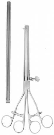Lane Twin Anastomosis