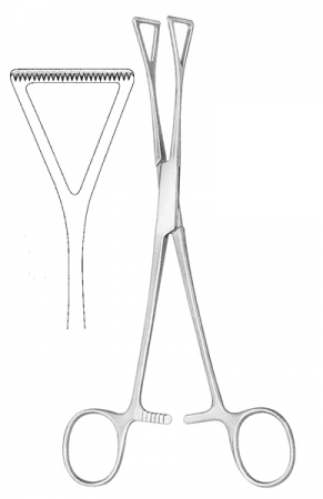 Tissue Forceps