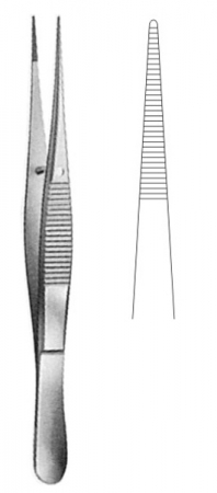 Delicate Disecting Forceps