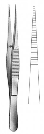 Delicate Disecting Forceps