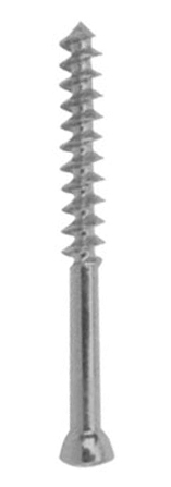 Orthopedic Implants