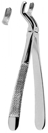 Extracting Forceps
