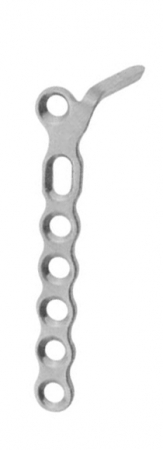 Orthopaedic Implants