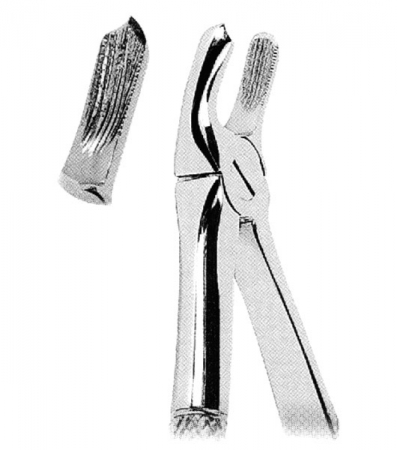 Extracting Forceps For Children