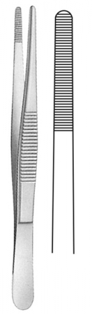 Serrated Dissecting Forceps