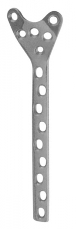 Orthopaedic Implants