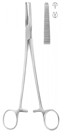 Phaneuf