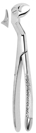 Extracting Forceps