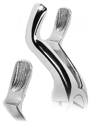Extracting Forceps With Anatomically Shaped Handle