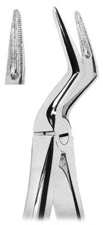 Extracting Forceps