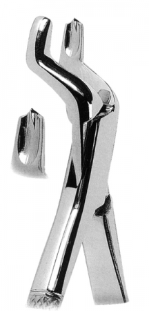 Extracting Forceps American Pattern