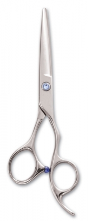 Fancy Professional High Quality Barber Scissors