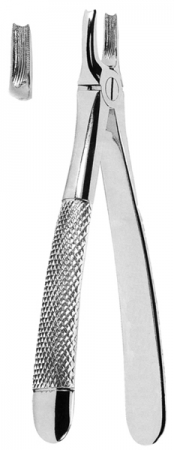 Extracting Forceps