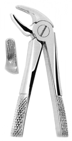 Extracting Forceps American Pattern
